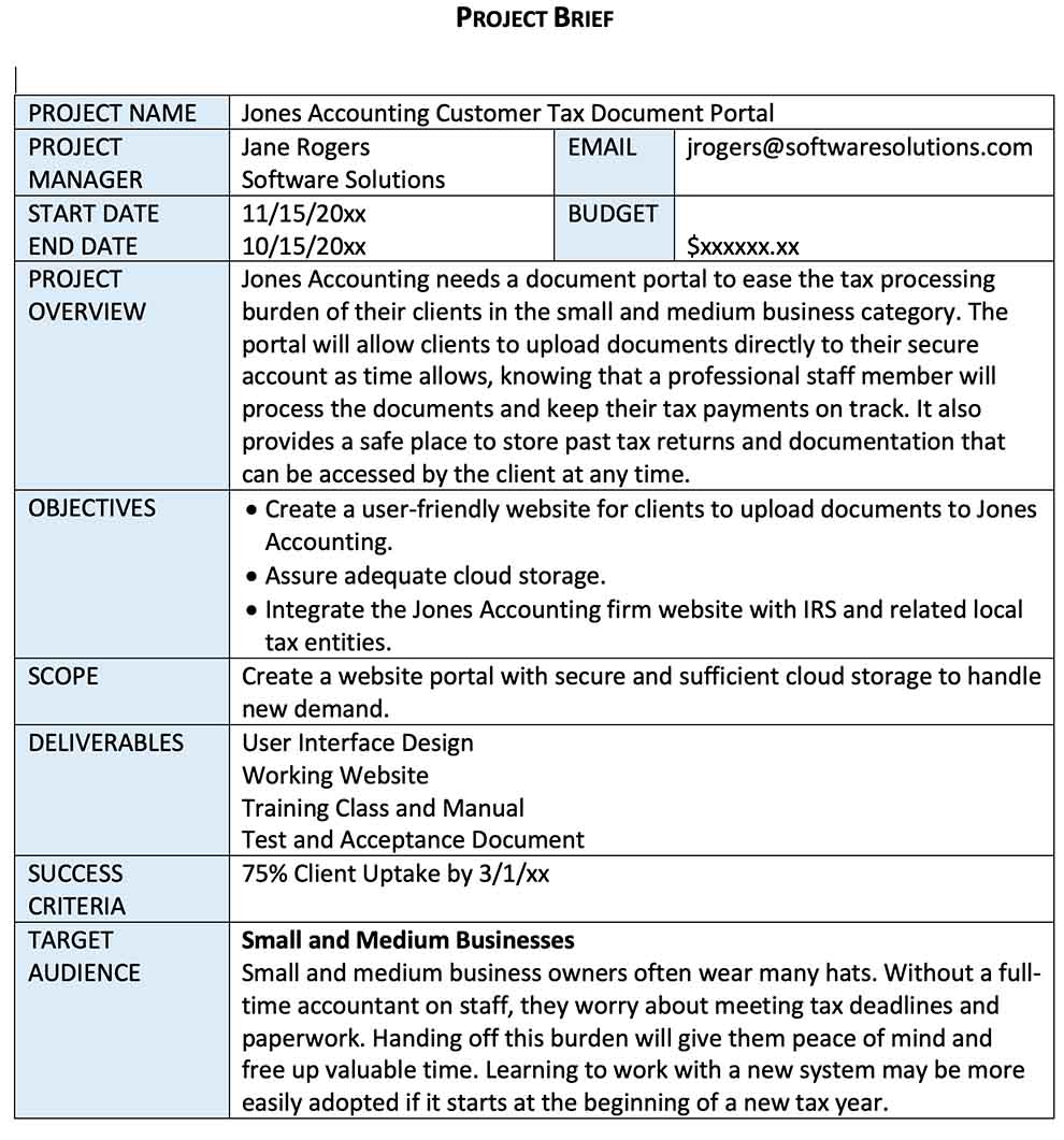 Project Brief Example